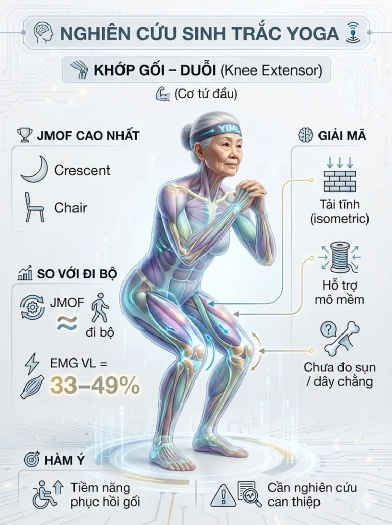 [P85] Nghiên cứu: Yêu cầu sinh trắc học của các tư thế Yoga đứng ở người cao tuổi