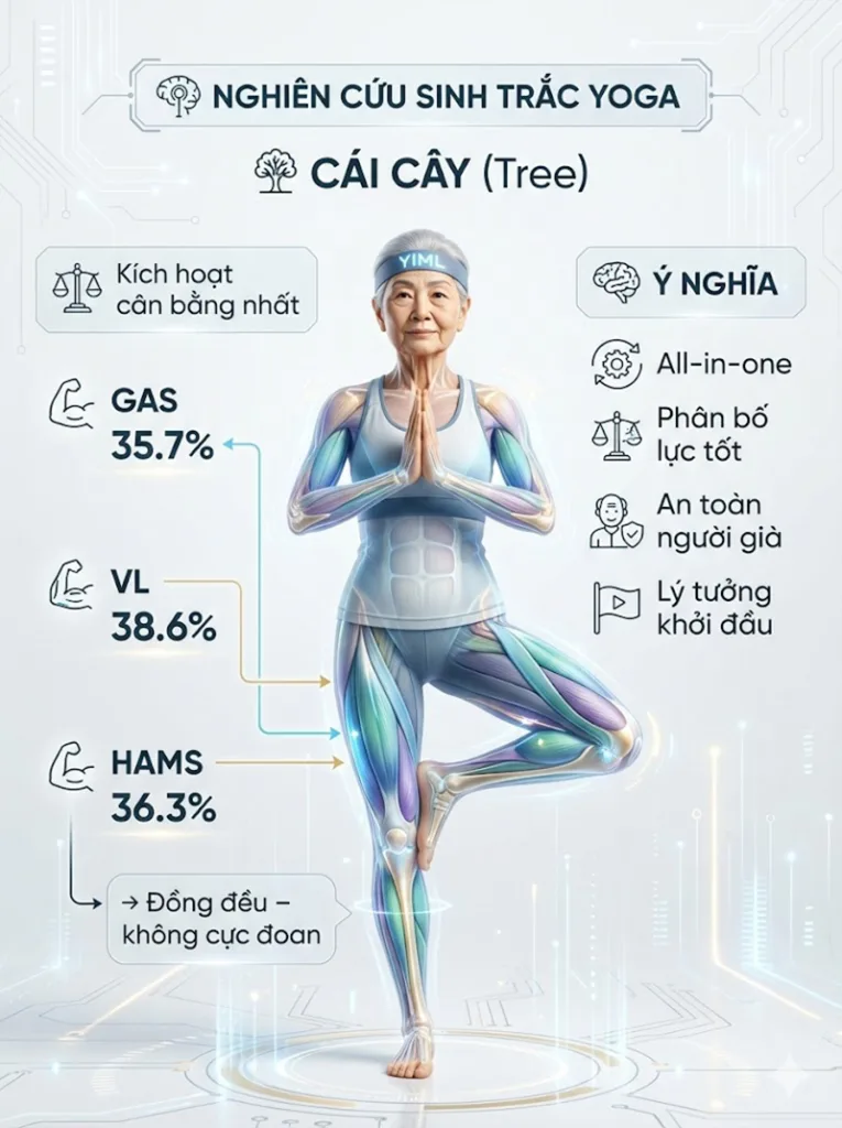 Sự cân bằng hoàn hảo nhất trong các nhóm tư thế đứng là tư thế cái cây