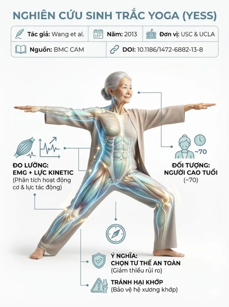 Tổng quan về nghiên cứu EMG các tư thế đứng cho người cao tuổi