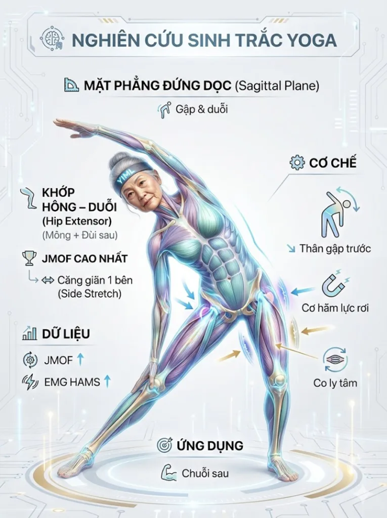Tư thế nghiêng lườn là tư thế vàng để tăng sức mạnh chuỗi cơ sau