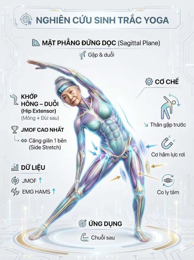 [P85] Nghiên cứu: Yêu cầu sinh trắc học của các tư thế Yoga đứng ở người cao tuổi