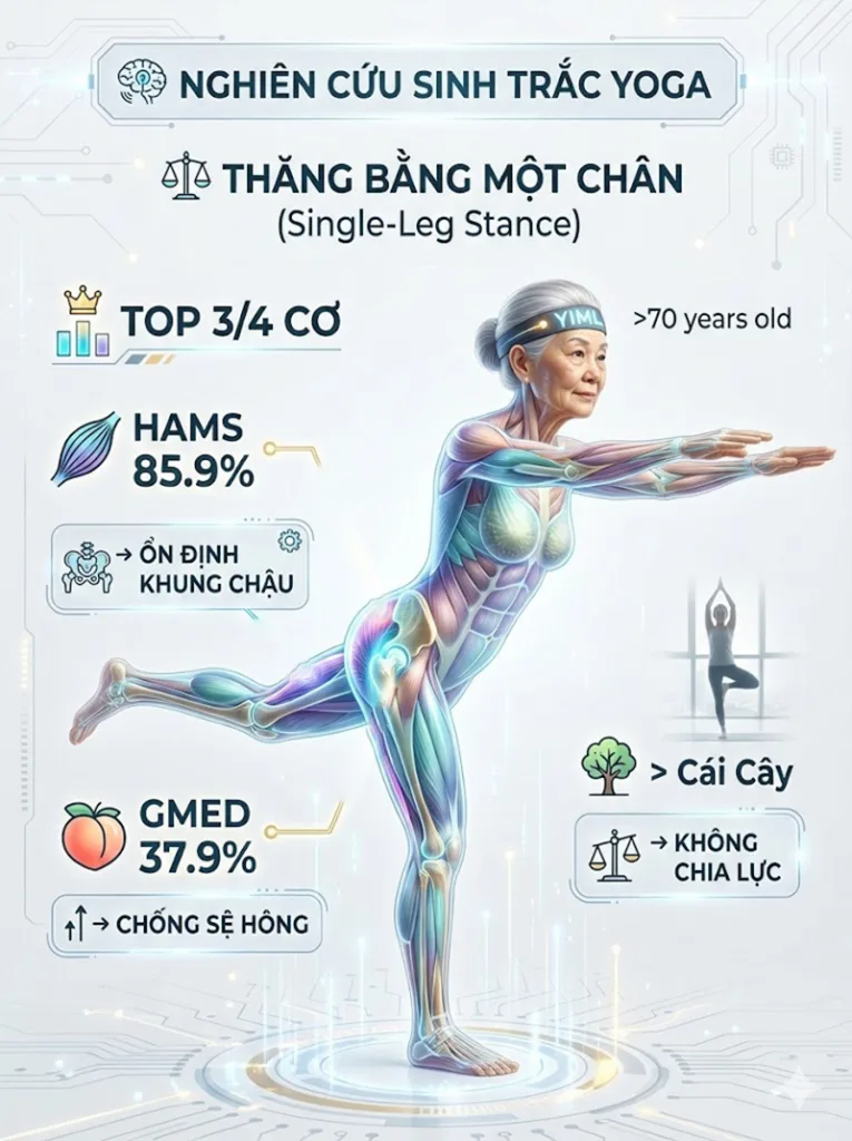 Các tư thế thăng bằng một chân là nhóm tư thế kích hoạt cơ đùi sau lớn nhất